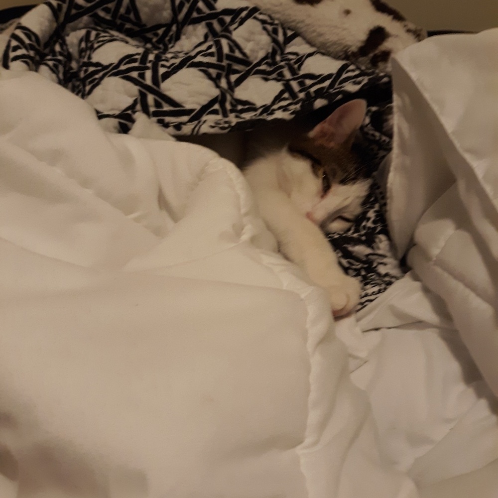 Meet your Posher, Catriona